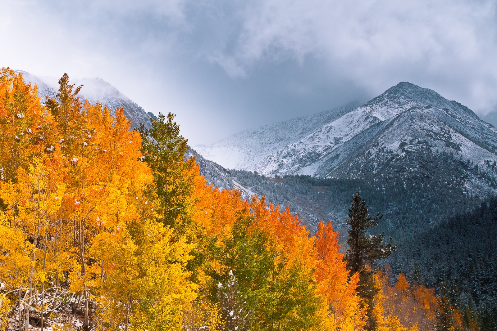 Fall color and early snow at North Lake, Inyo National Forest, Sierra Nevada Mountains, California | Fall Color Photography - Where's The Light?