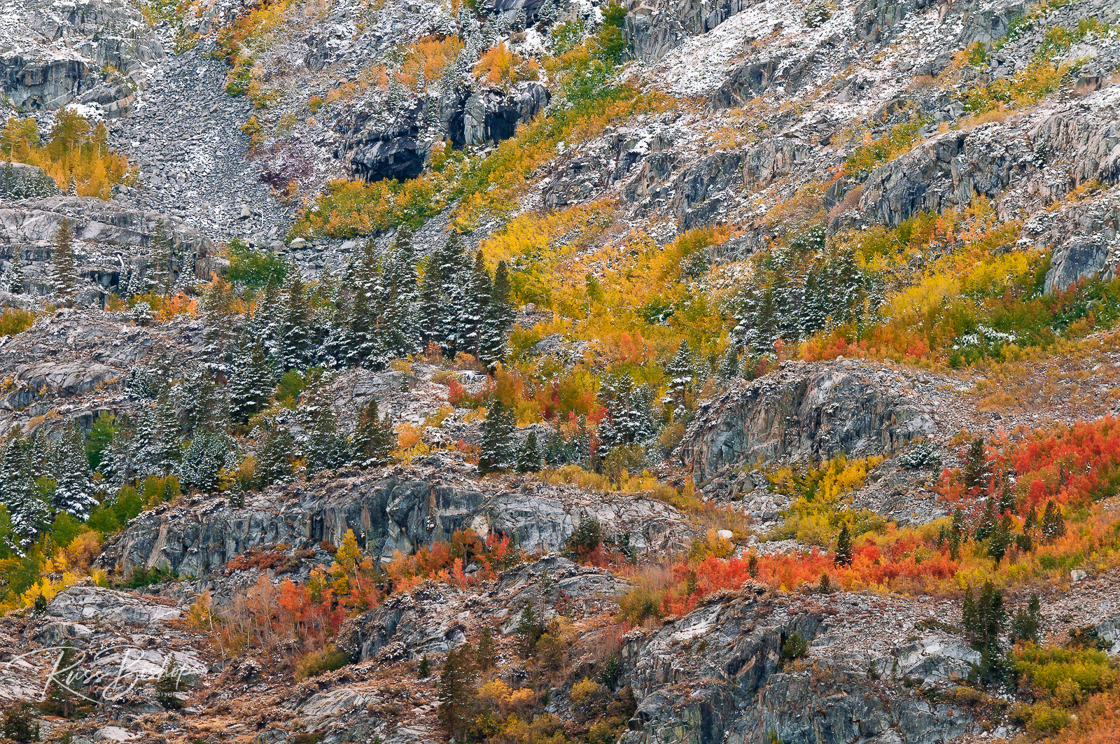 "The Wilderness Act" ~ Autumn hues and fresh powder, John Muir Wilderness, California