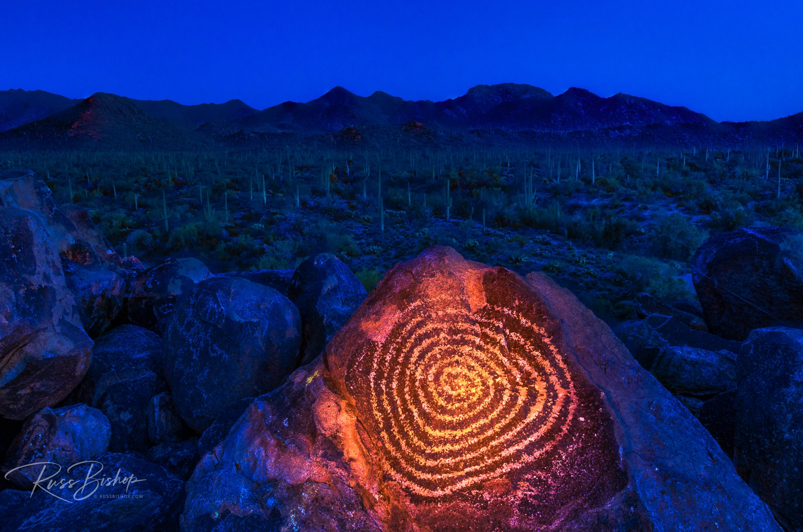 Petroglyphs on Signal Hill, Saguaro National Park (Tucson Mountain District), Tucson, Arizona