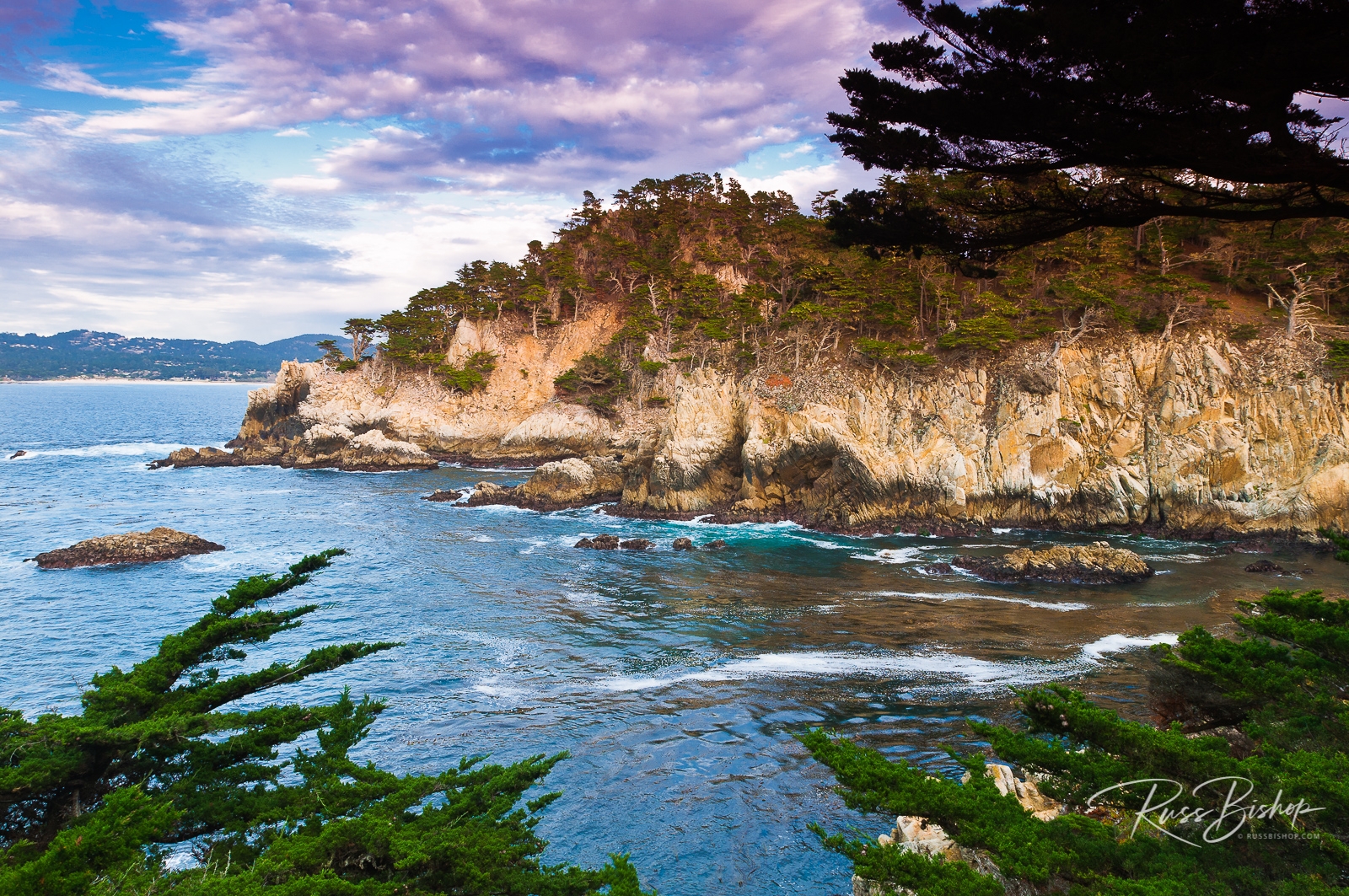 Point Lobos Russ Bishop Photography Nature Photo Blog