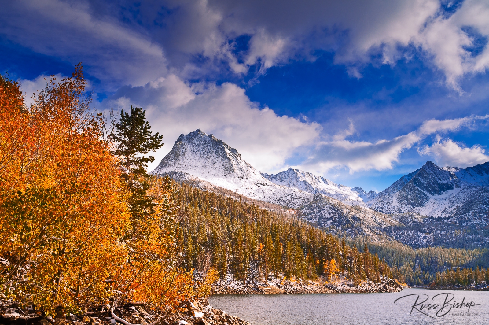 Fall aspens under Sierra peaks from South Lake, John Muir Wilderness, California
