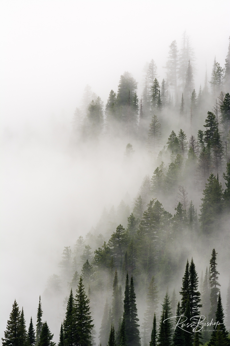 Beyond Technology - Creating Images with Heart. Cloud forest, Glacier National Park, Montana