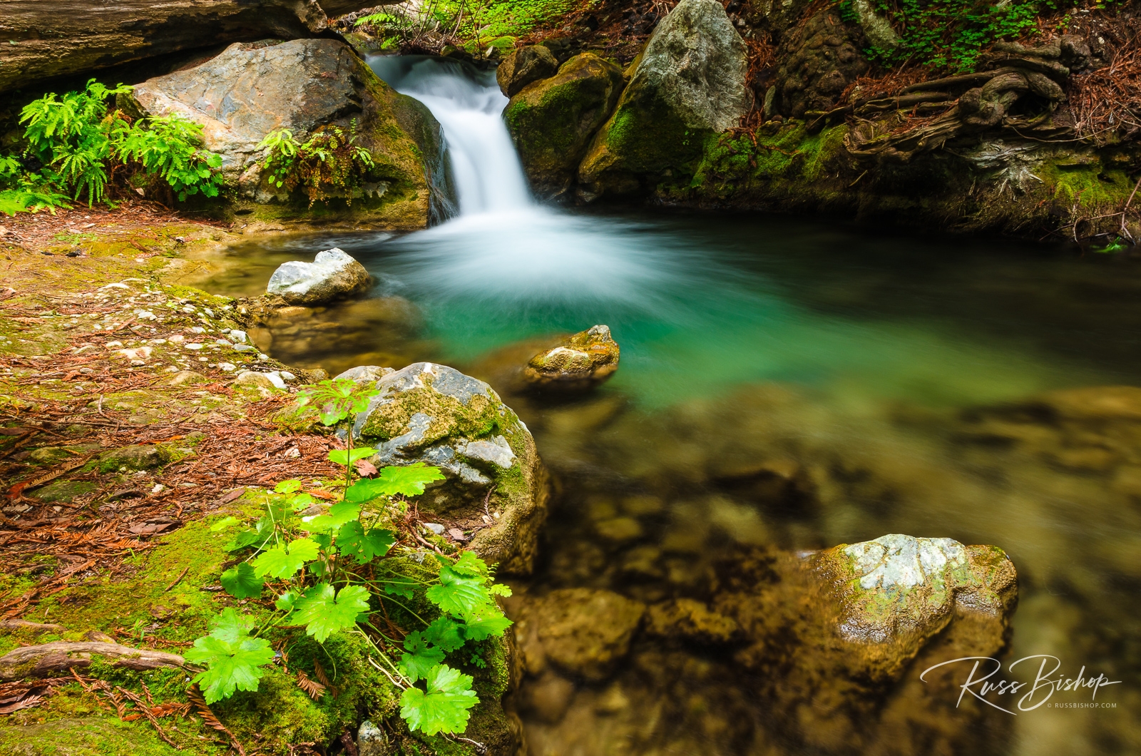 Cascade on Hare Creek, Limekiln State Park, California | The Trouble with Bad Light