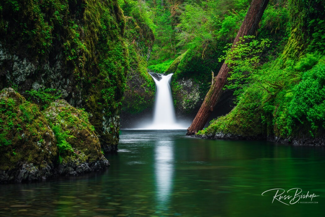 2023 - The Year in Pictures. Punch Bowl Falls, Columbia River Gorge National Scenic Area, Oregon USA