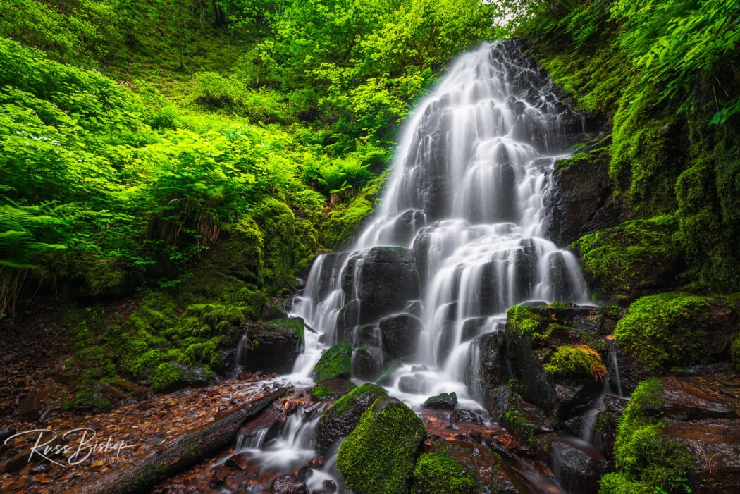 2023 - The Year in Pictures. Fairy Falls, Columbia River Gorge National Scenic Area, Oregon USA