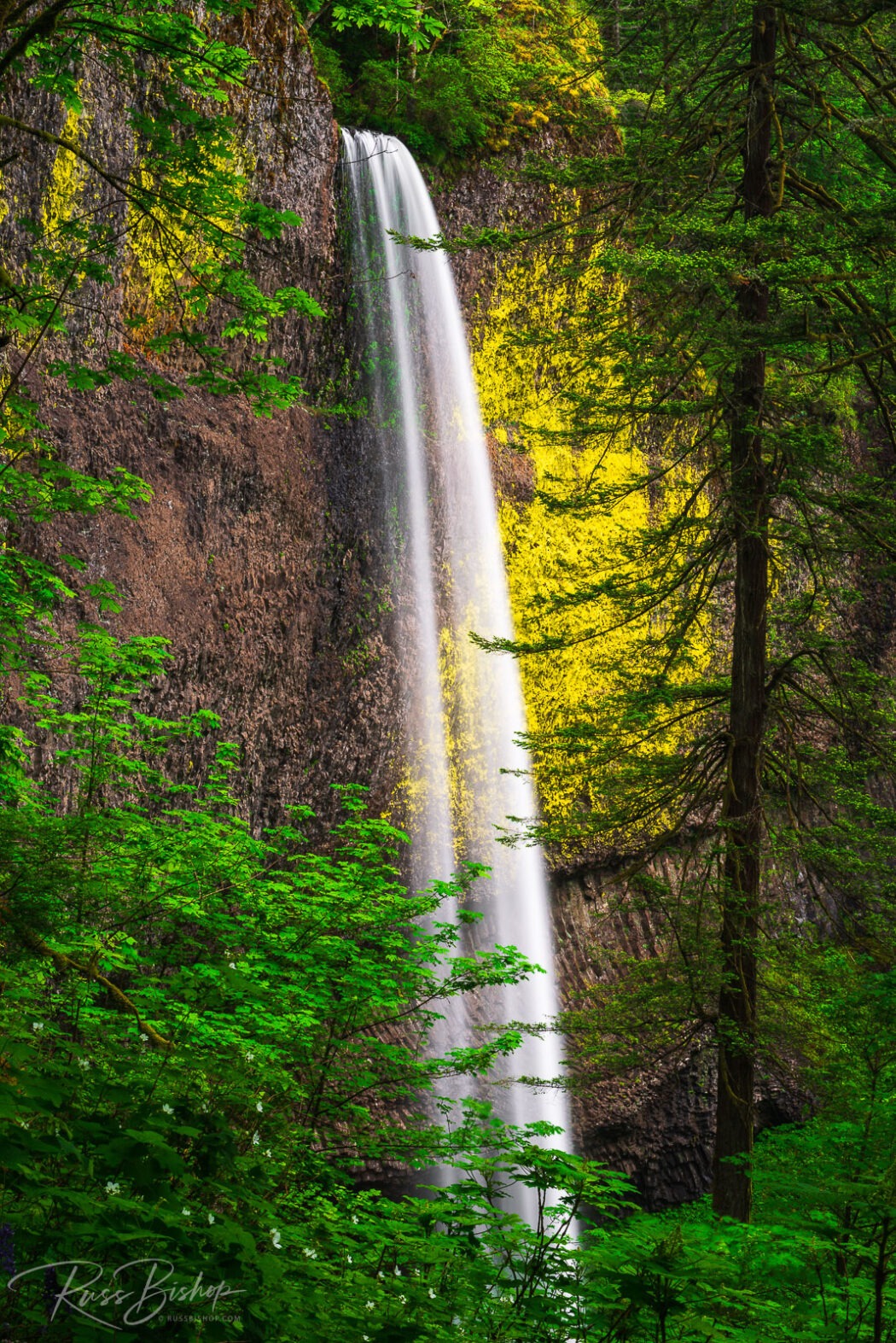 2024 - The Year in Pictures Latourell Falls, Columbia River Gorge National Scenic Area, Oregon USA