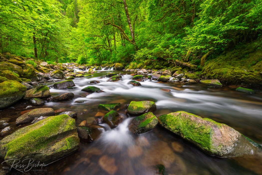 2024 - The Year in Pictures Tanner Creek, Columbia River Gorge National Scenic Area, Oregon USA