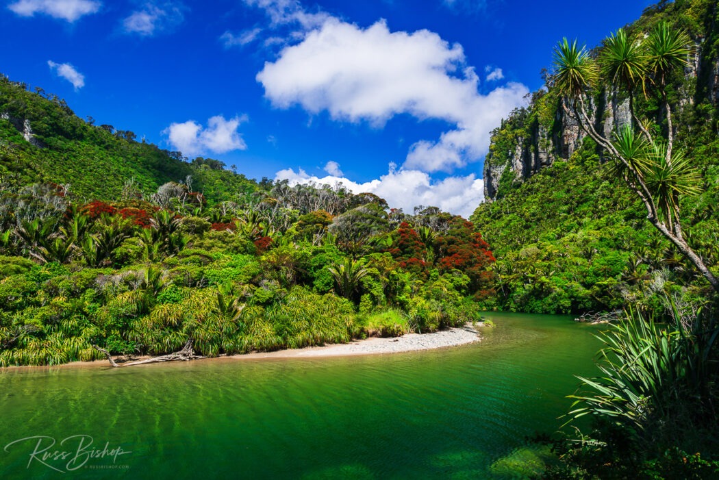 2024 - The Year in Pictures The Pororari River, Paparoa National Park, Punakaiki, New Zealand